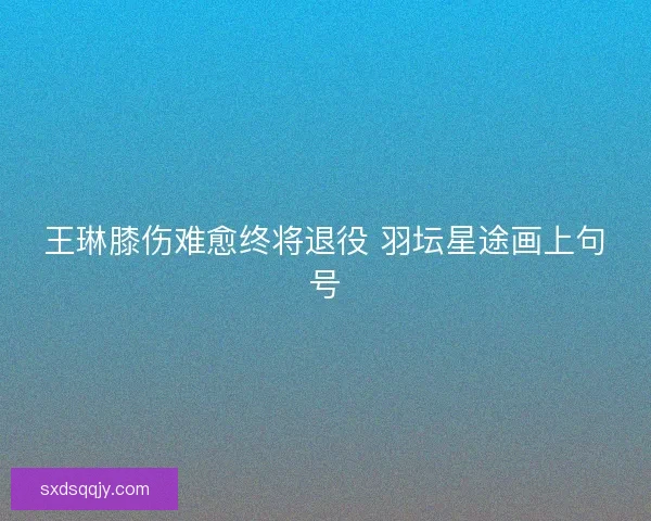 王琳膝伤难愈终将退役 羽坛星途画上句号